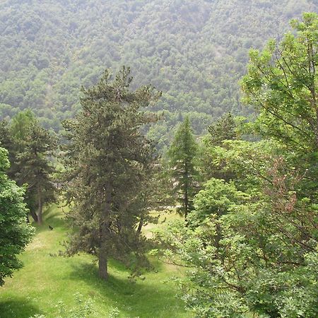 Chalet Monte Nebius Vinadio Zewnętrze zdjęcie