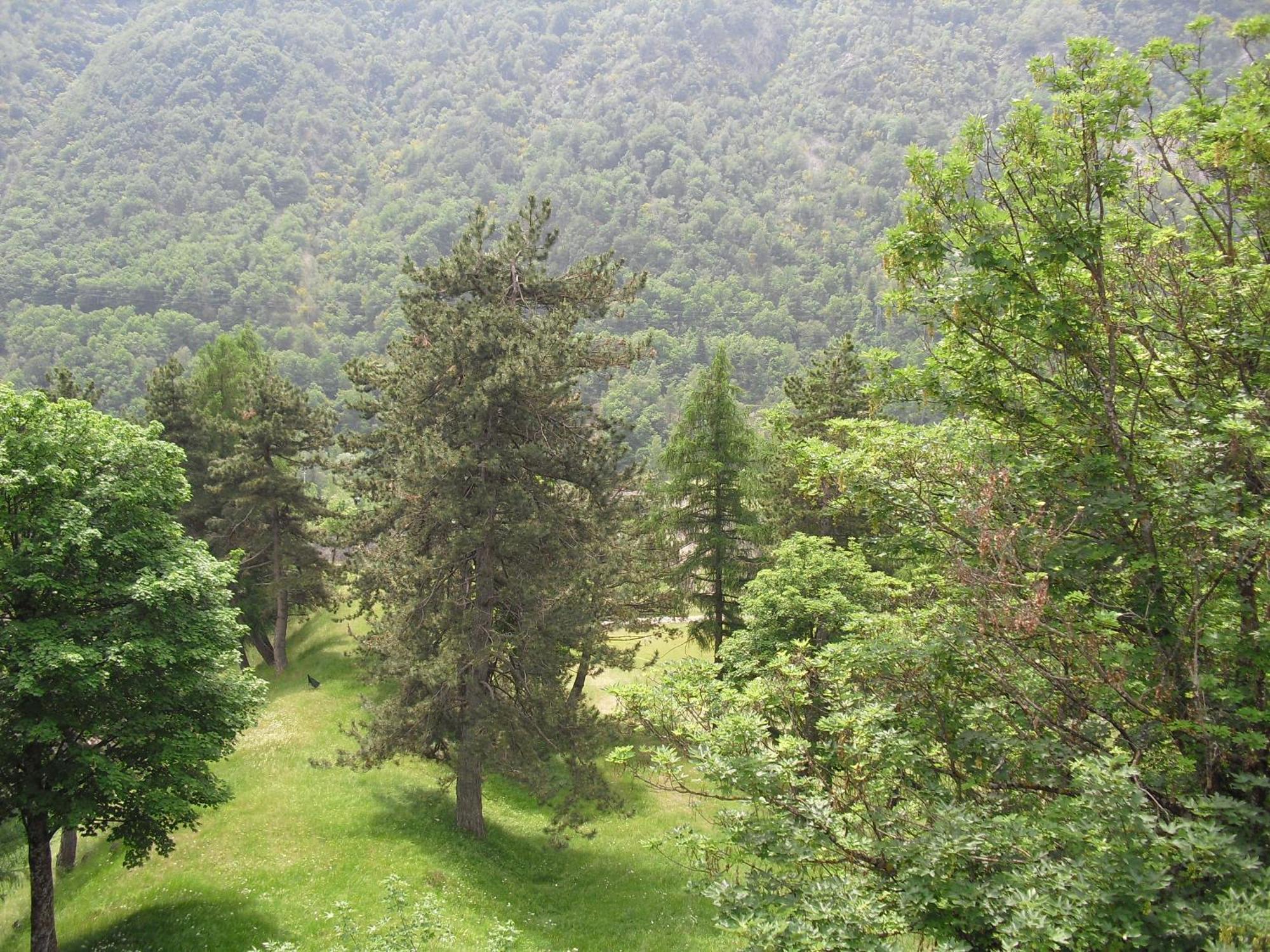 Chalet Monte Nebius Vinadio Zewnętrze zdjęcie