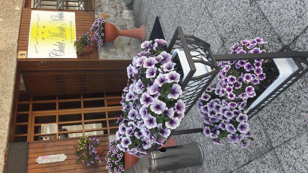 Chalet Monte Nebius Vinadio Zewnętrze zdjęcie